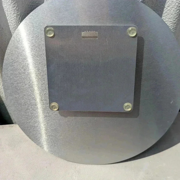 Queen Angel Fish Picture (New) - Picture 3 of 4